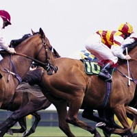A Century of Country Racing: Gulargambone Gold Cup Returns Saturday, 30 August 2025